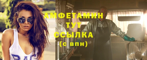 шишки Пересвет