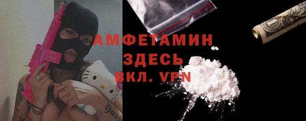 шишки Пересвет