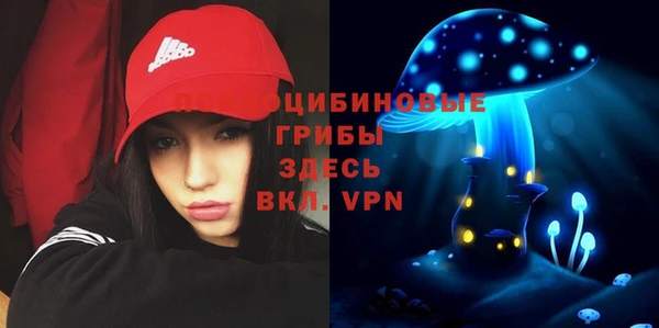 шишки Пересвет