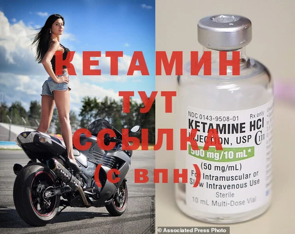 шишки Пересвет