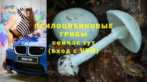 шишки Пересвет