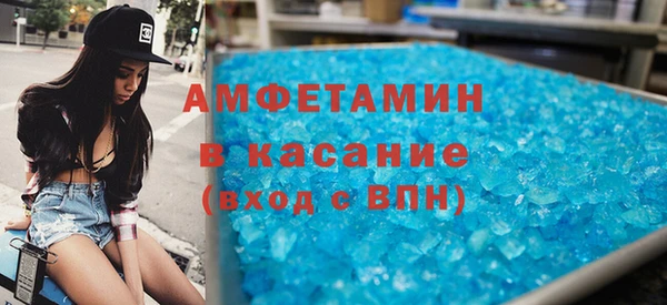 шишки Пересвет