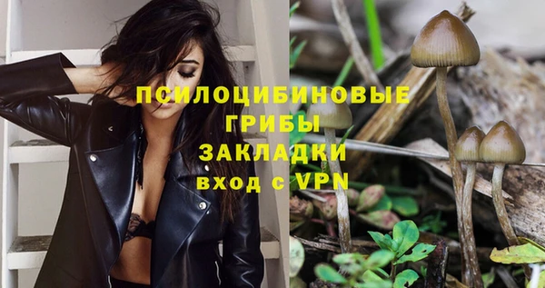 шишки Пересвет