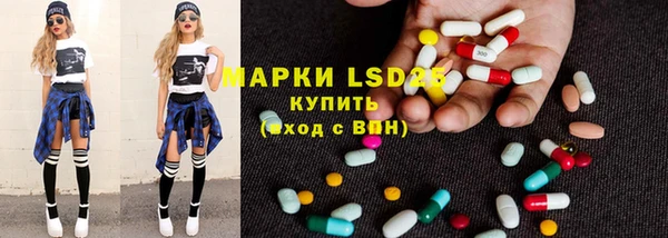 шишки Пересвет