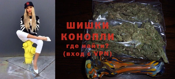 ГАЛЛЮЦИНОГЕННЫЕ ГРИБЫ Строитель