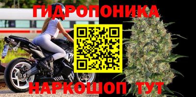 спайс Кинель