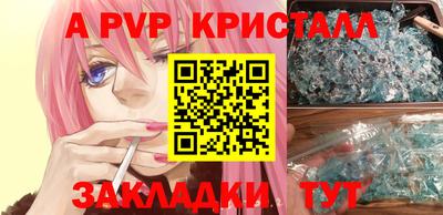 меф Кингисепп