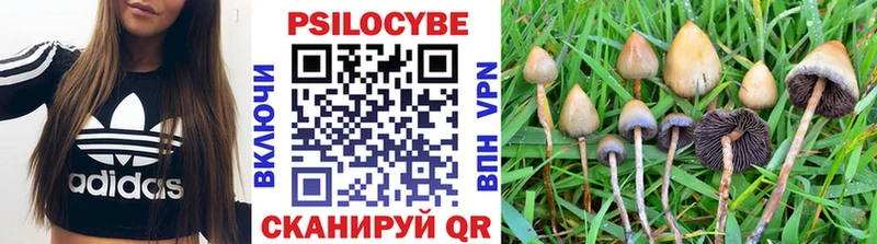 Псилоцибиновые грибы GOLDEN TEACHER  Евпатория 