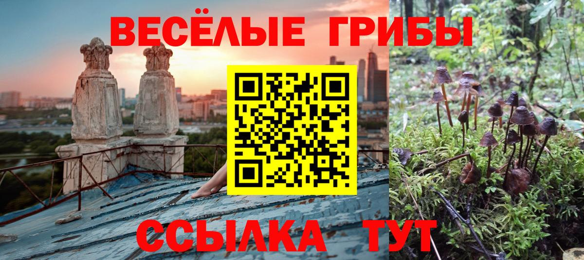 Галлюциногенные грибы мухоморы  Вход с VPN  Евпатория 