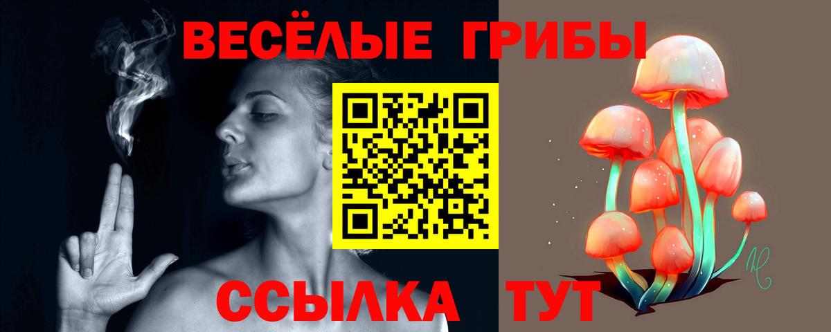Галлюциногенные грибы GOLDEN TEACHER Евпатория